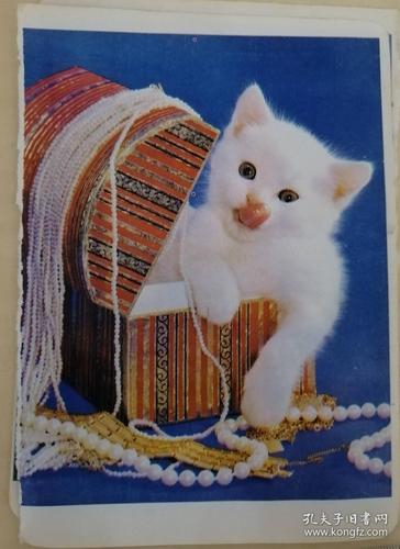 八十年代,天津市津海第一胶印厂出品,猫照片印刷品_孔夫子旧书网